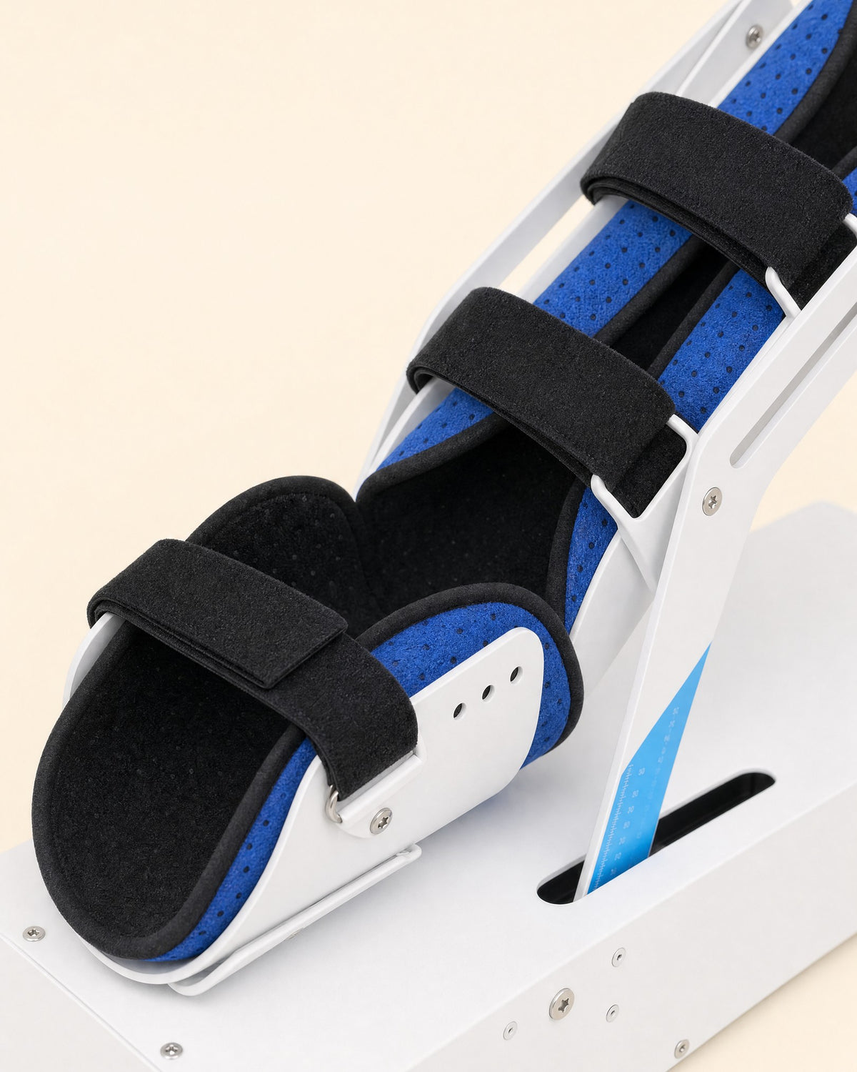 The padded cradle, mesh lining and straps
